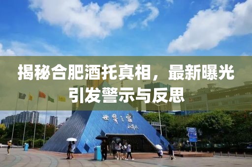 揭秘合肥酒托真相，最新曝光引发警示与反思