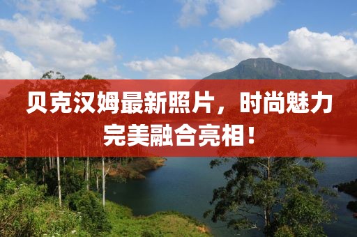 贝克汉姆最新照片，时尚魅力完美融合亮相！