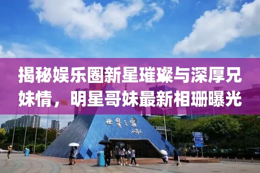 无果 第5页