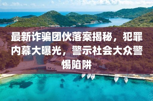 最新诈骗团伙落案揭秘，犯罪内幕大曝光，警示社会大众警惕陷阱