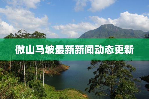 微山马坡最新新闻动态更新
