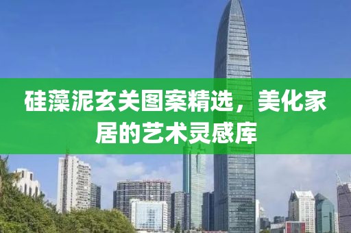 硅藻泥玄关图案精选，美化家居的艺术灵感库