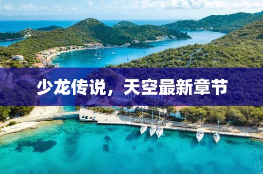 少龙传说，天空最新章节