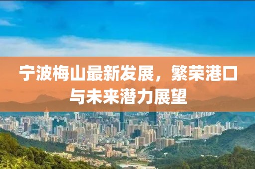 宁波梅山最新发展，繁荣港口与未来潜力展望