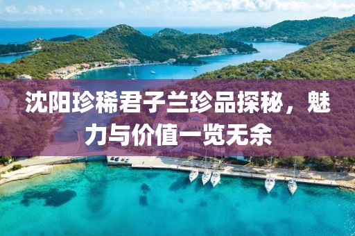 沈阳珍稀君子兰珍品探秘，魅力与价值一览无余