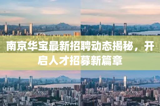 南京华宝最新招聘动态揭秘，开启人才招募新篇章