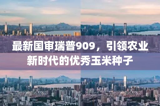 最新国审瑞普909，引领农业新时代的优秀玉米种子