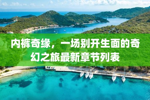 内裤奇缘，一场别开生面的奇幻之旅最新章节列表