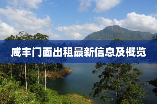 咸丰门面出租最新信息及概览