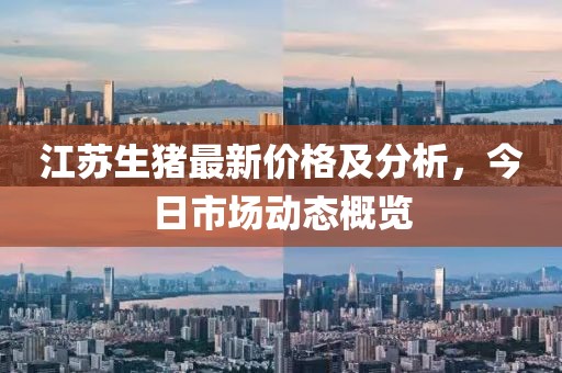 江苏生猪最新价格及分析，今日市场动态概览