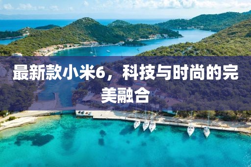东渡 第6页