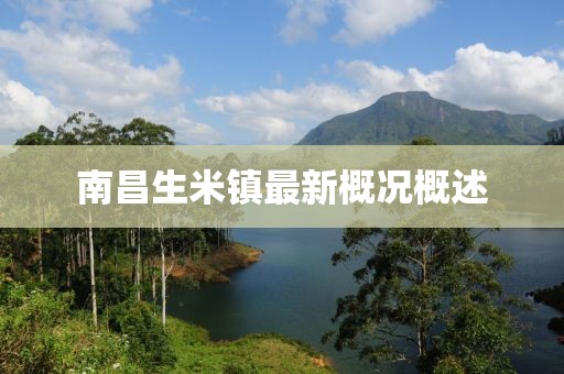 南昌生米镇最新概况概述