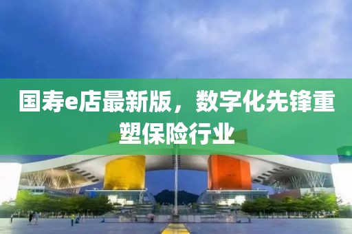 国寿e店最新版，数字化先锋重塑保险行业
