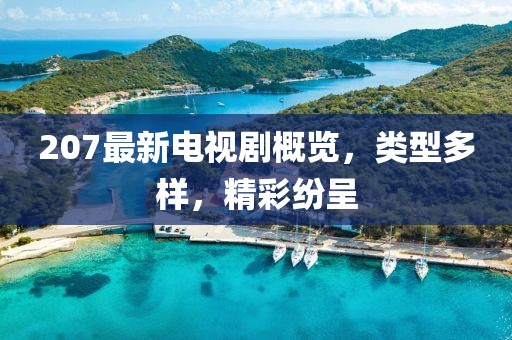 207最新电视剧概览，类型多样，精彩纷呈