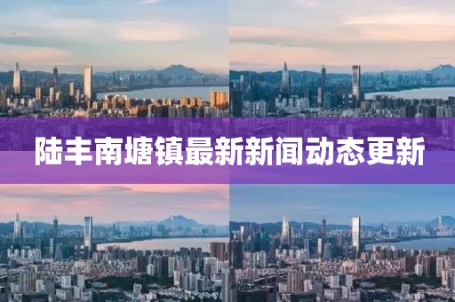 陆丰南塘镇最新新闻动态更新