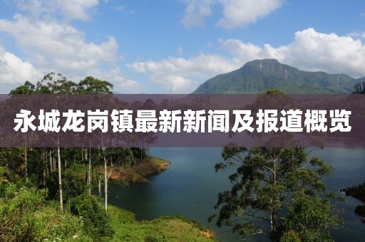 永城龙岗镇最新新闻及报道概览