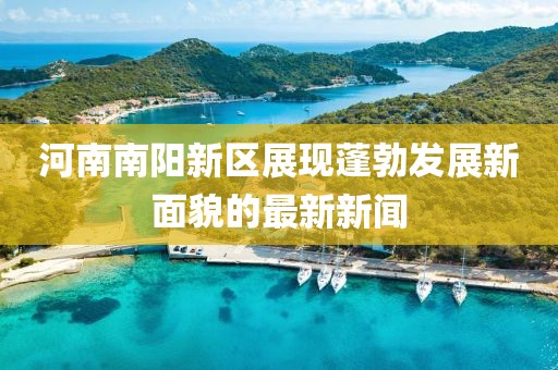 河南南阳新区展现蓬勃发展新面貌的最新新闻