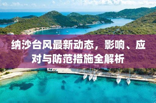 纳沙台风最新动态，影响、应对与防范措施全解析