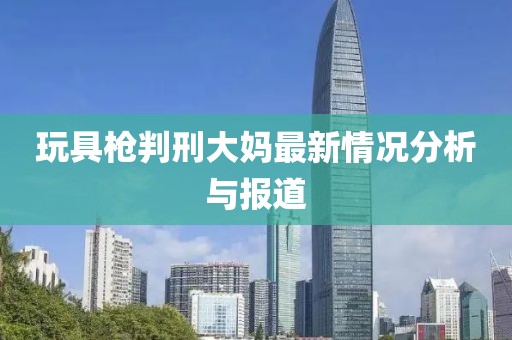 玩具枪判刑大妈最新情况分析与报道