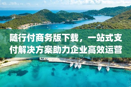 随行付商务版下载，一站式支付解决方案助力企业高效运营