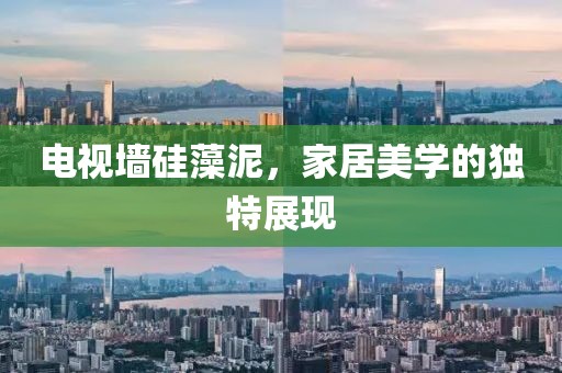 电视墙硅藻泥，家居美学的独特展现