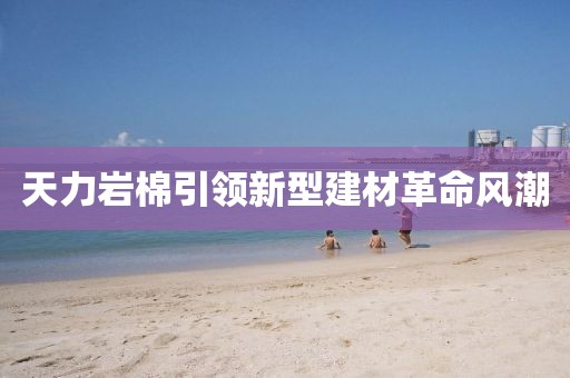 天力岩棉引领新型建材革命风潮