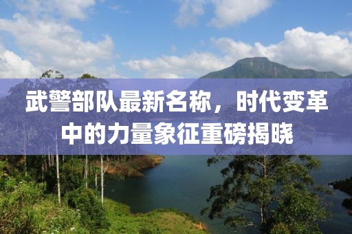 武警部队最新名称，时代变革中的力量象征重磅揭晓