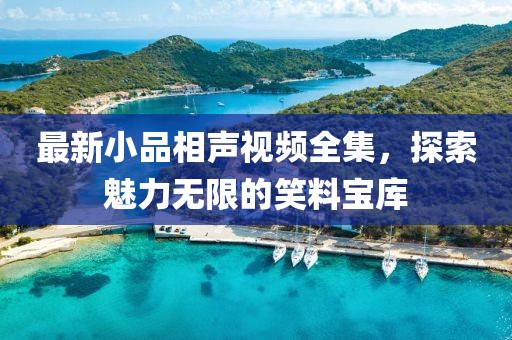最新小品相声视频全集，探索魅力无限的笑料宝库