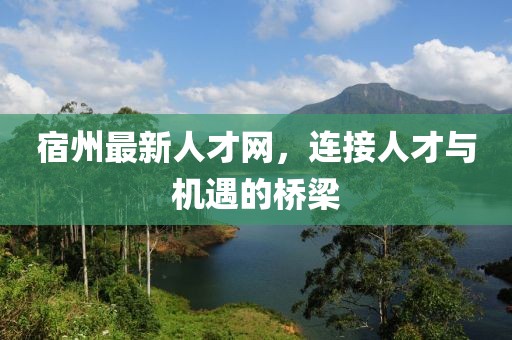 宿州最新人才网，连接人才与机遇的桥梁