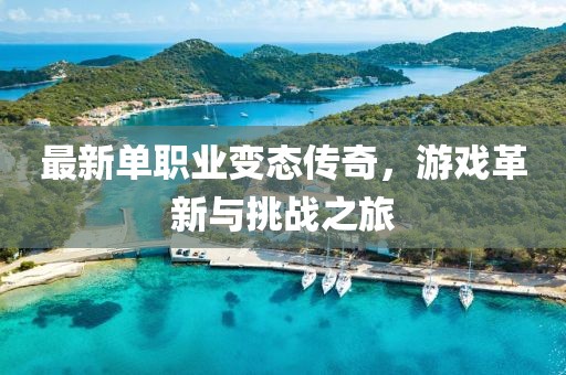 最新单职业变态传奇，游戏革新与挑战之旅