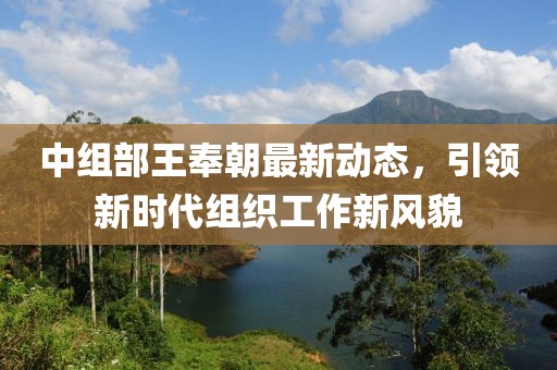 中组部王奉朝最新动态，引领新时代组织工作新风貌