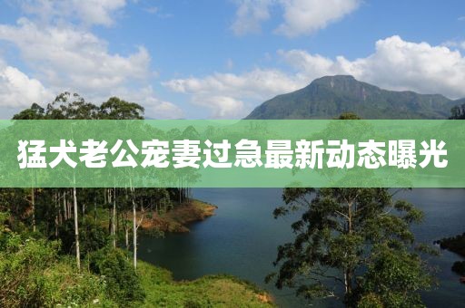 猛犬老公宠妻过急最新动态曝光