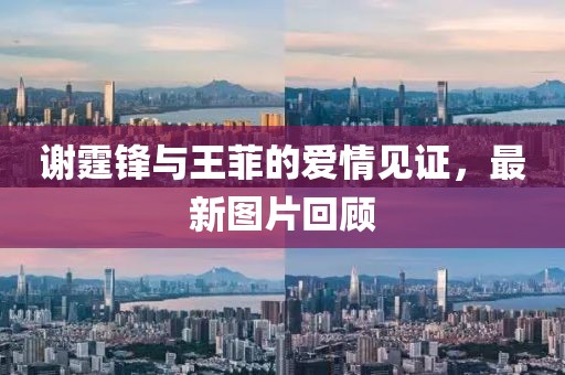 谢霆锋与王菲的爱情见证，最新图片回顾