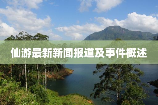 仙游最新新闻报道及事件概述