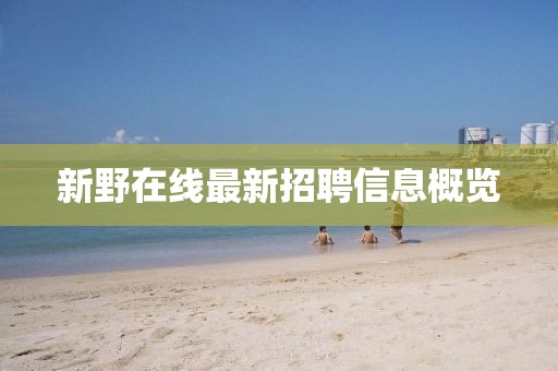 新野在线最新招聘信息概览