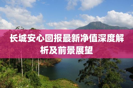 长城安心回报最新净值深度解析及前景展望