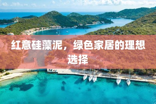 红意硅藻泥，绿色家居的理想选择