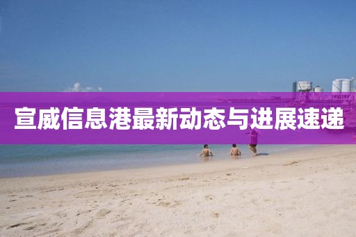 宣威信息港最新动态与进展速递