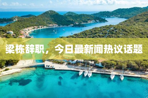 梁栋辞职，今日最新闻热议话题