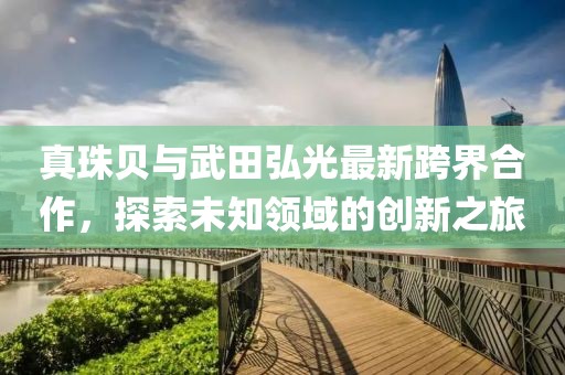 真珠贝与武田弘光最新跨界合作，探索未知领域的创新之旅