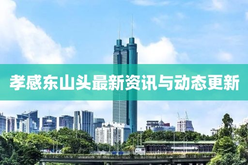 孝感东山头最新资讯与动态更新