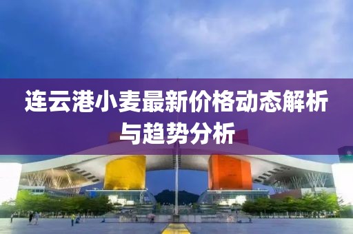 连云港小麦最新价格动态解析与趋势分析