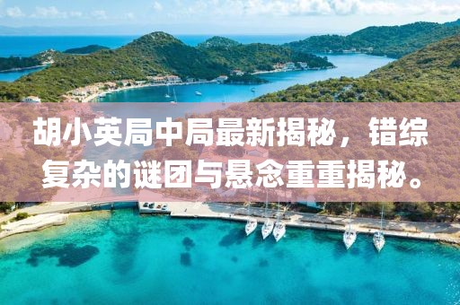 胡小英局中局最新揭秘，错综复杂的谜团与悬念重重揭秘。