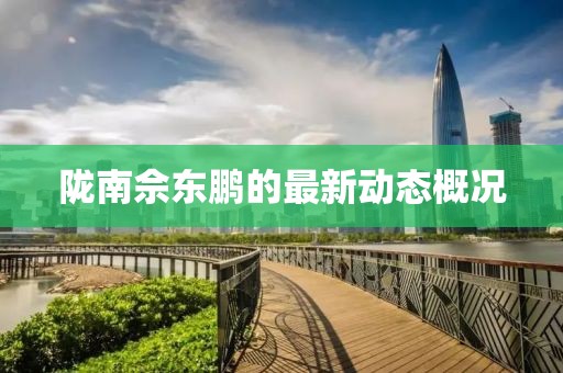 陇南佘东鹏的最新动态概况