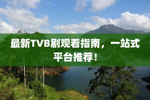 最新TVB剧观看指南，一站式平台推荐！