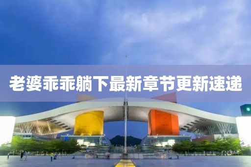 老婆乖乖躺下最新章节更新速递