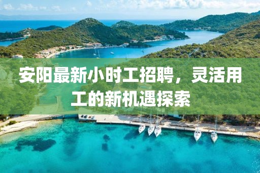 安阳最新小时工招聘，灵活用工的新机遇探索
