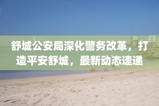 舒城公安局深化警务改革，打造平安舒城，最新动态速递