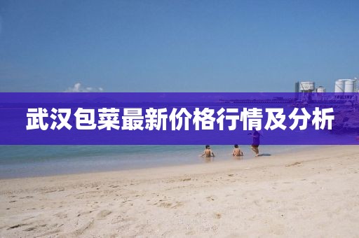武汉包菜最新价格行情及分析