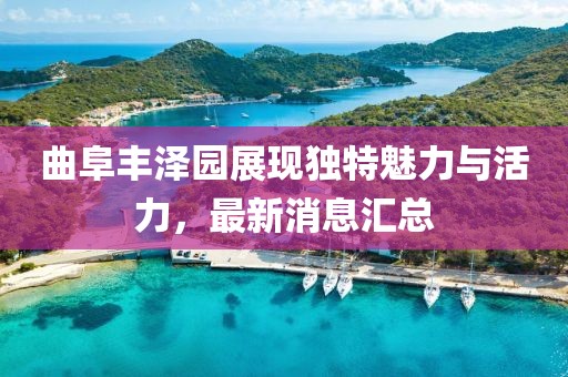 曲阜丰泽园展现独特魅力与活力，最新消息汇总